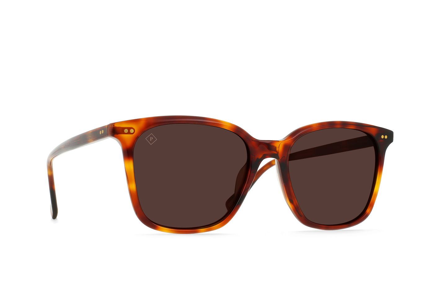 Darine Golden Daze Tortoise Drift Polarized 55