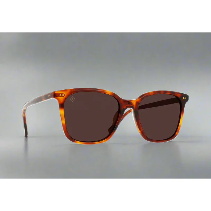 Darine Golden Daze Tortoise Drift Polarized 55 - AngraBech