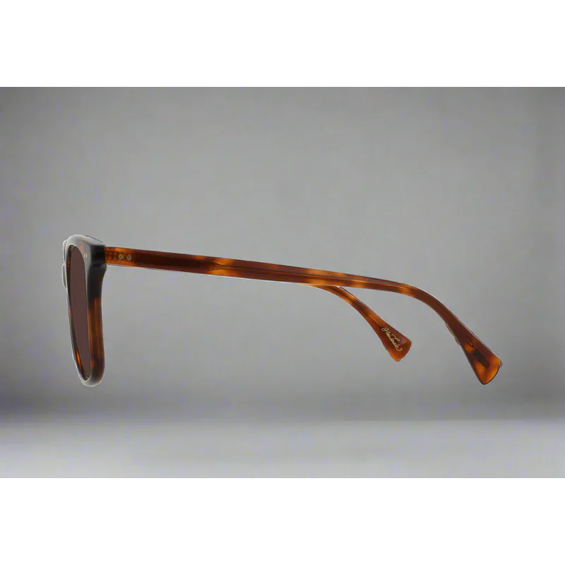 Darine Golden Daze Tortoise Drift Polarized 55 - AngraBech