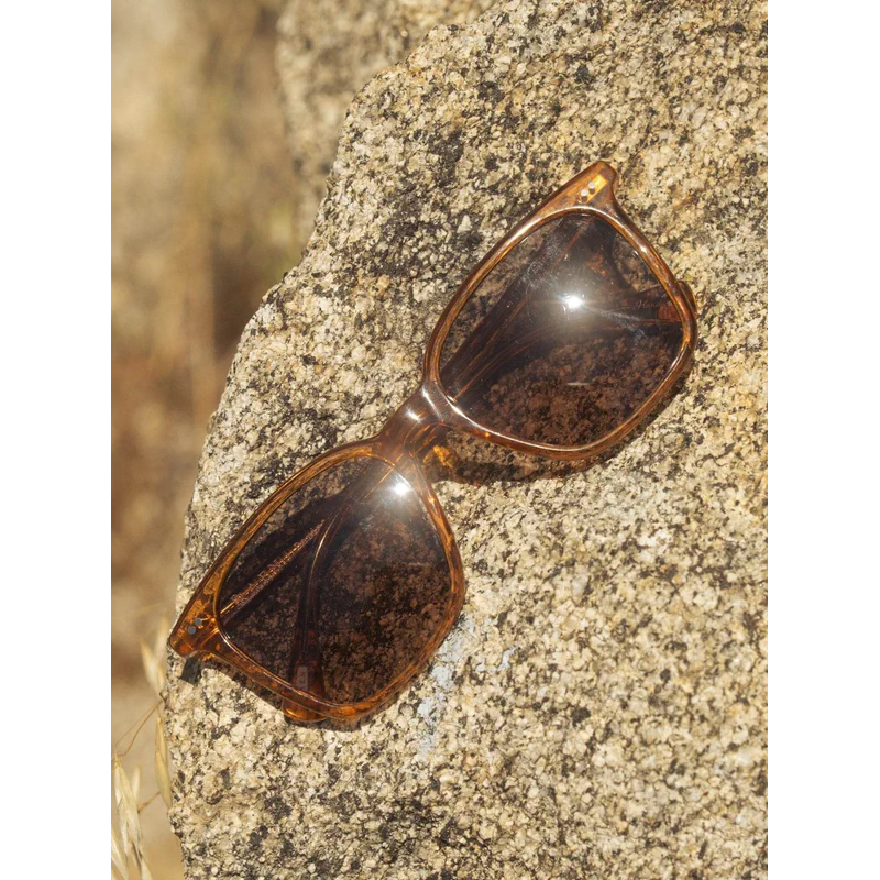 Darine Golden Daze Tortoise Drift Polarized 55 - AngraBech