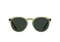 Cambria / Green Polarized