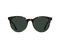 Brindle Tortoise / Green Polarized