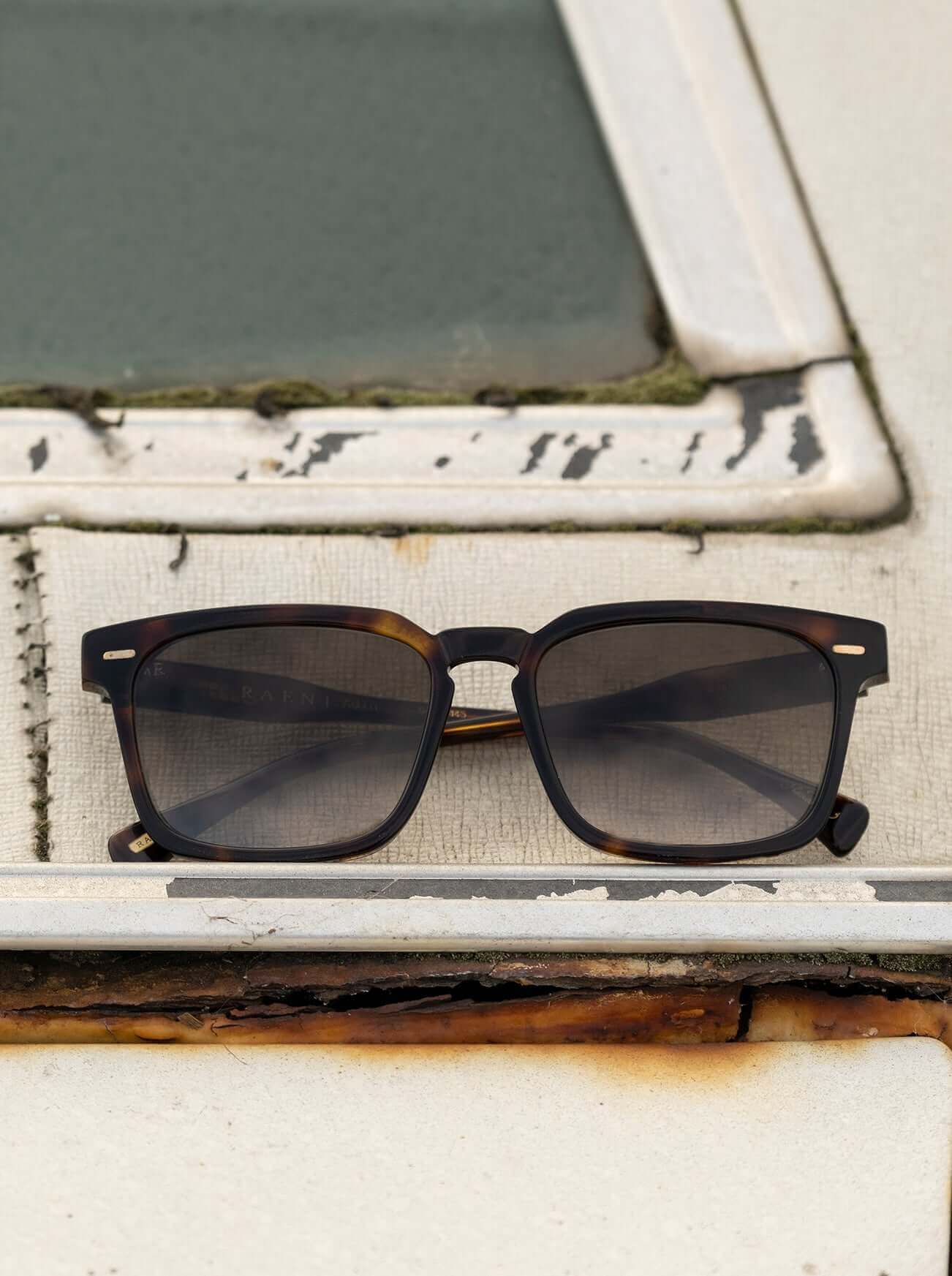 product_image featured_image, Kola Tortoise