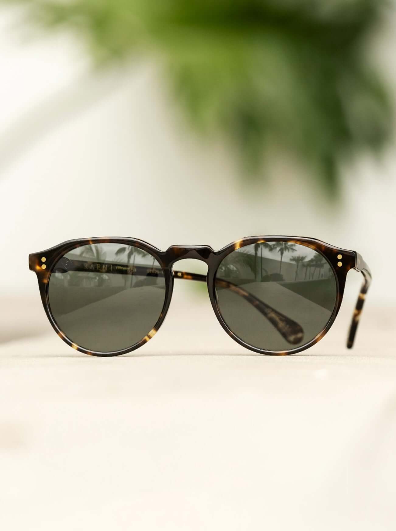 Remmy Brindle Tortoise Green Polar 52