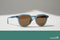 Absinthe / Vibrant Brown Polarized