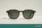 Espresso Tortoise / Green Polarized