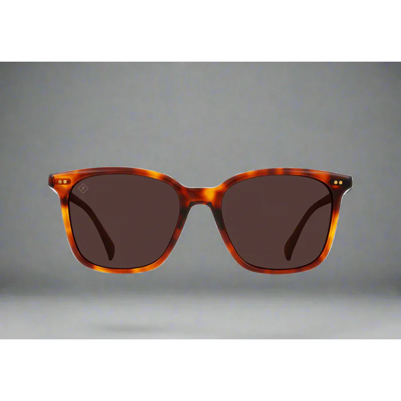 Darine Golden Daze Tortoise Drift Polarized 55 - AngraBech